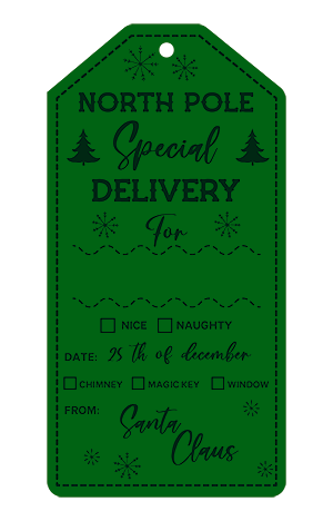 Personalized Special Delivery Christmas Tags 10 count