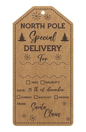 Personalized Special Delivery Christmas Tags 10 count