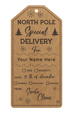 Personalized Special Delivery Christmas Tags 10 count