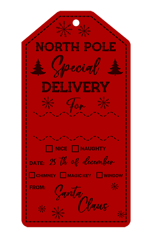 Personalized Special Delivery Christmas Tags 10 count